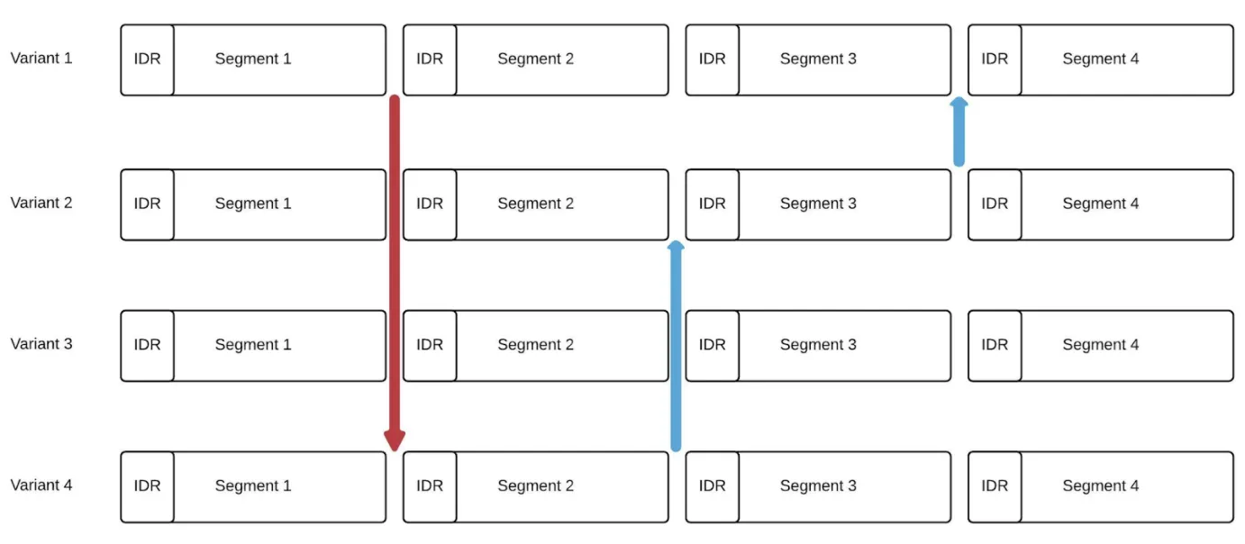 variant-alignment